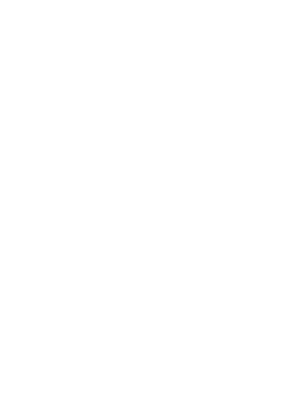 Footer Logo Watermark